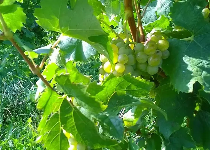 דירה In Hahnheim, Rheinhessen Hahnheim